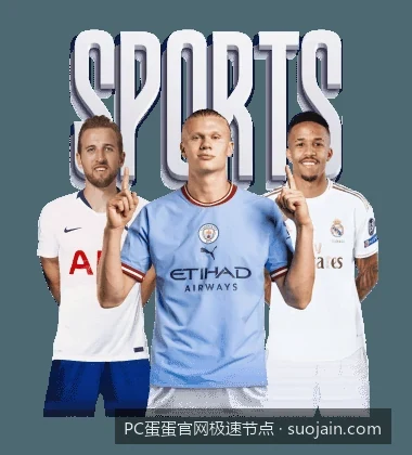 2026最新PC蛋蛋体育极速版APP下载与安装常见问题解答